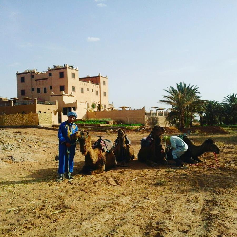 Riad Les Jardins de Tafraoute Foum Mharech Extérieur photo